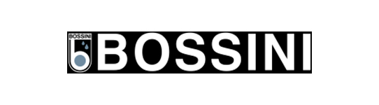 bossini